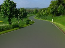 Camino curva entre árboles