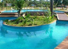 Piscina con isla verde