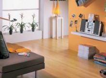 Helles Wohnzimmer mit Pflanzen